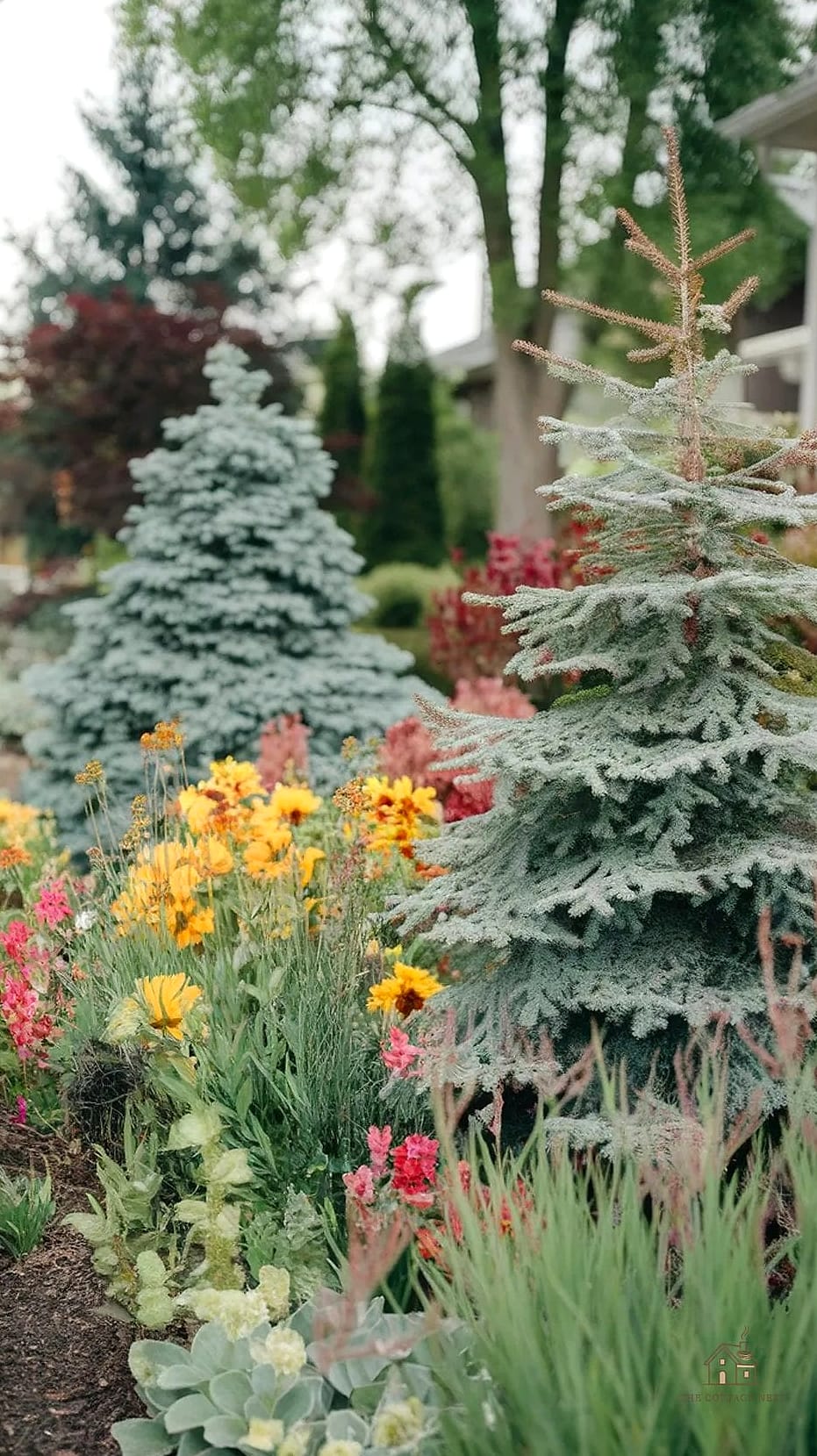 Layered Evergreen and Seasonal Bed