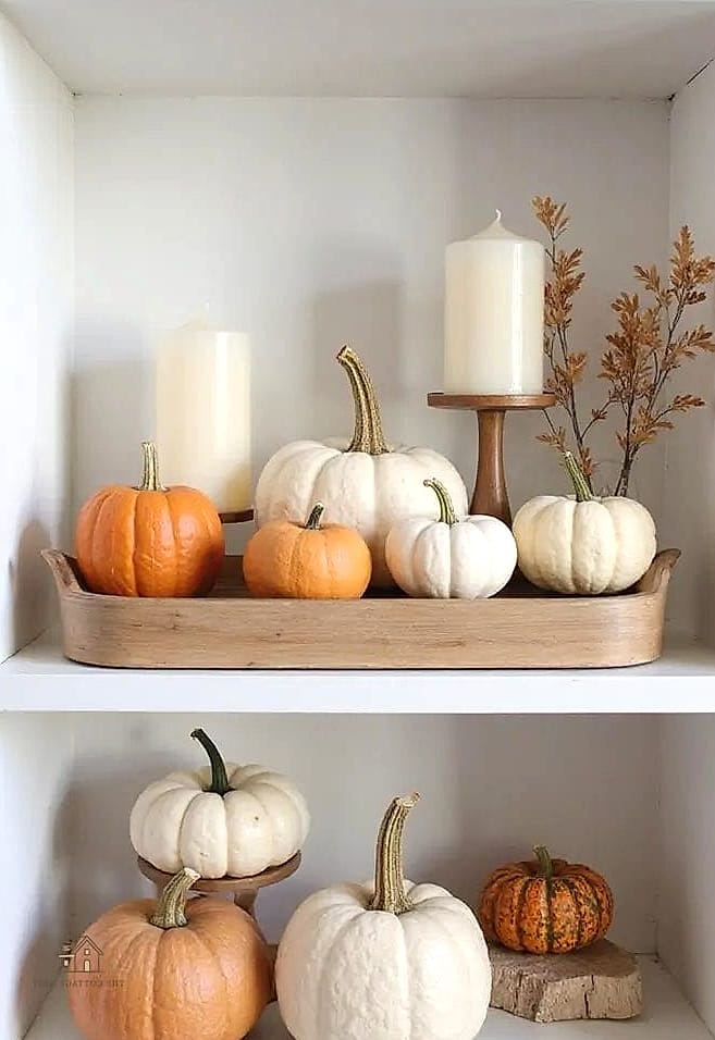 Layer Textured Trays