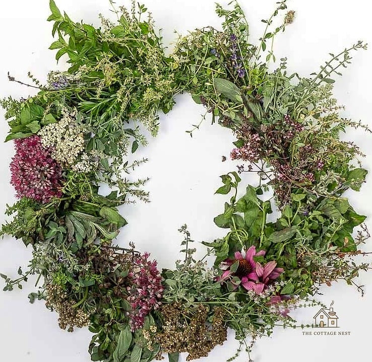 Living Herb Wreath