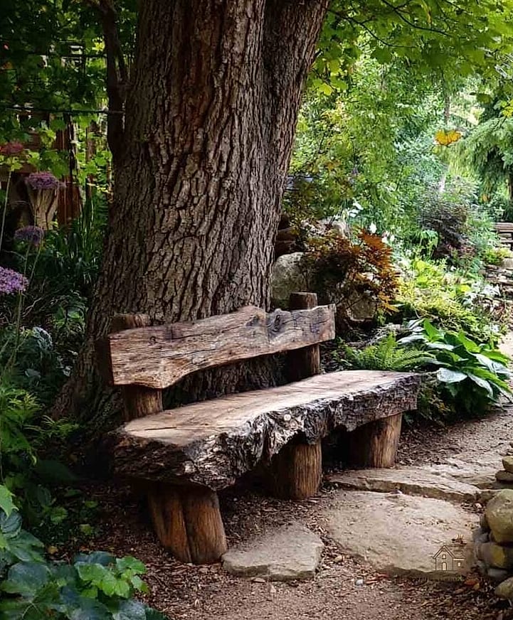 Log Bench with a Live Edge