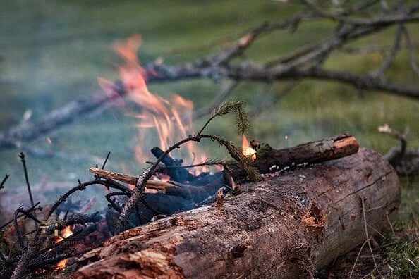 Log Slice Fire Pit Surround
