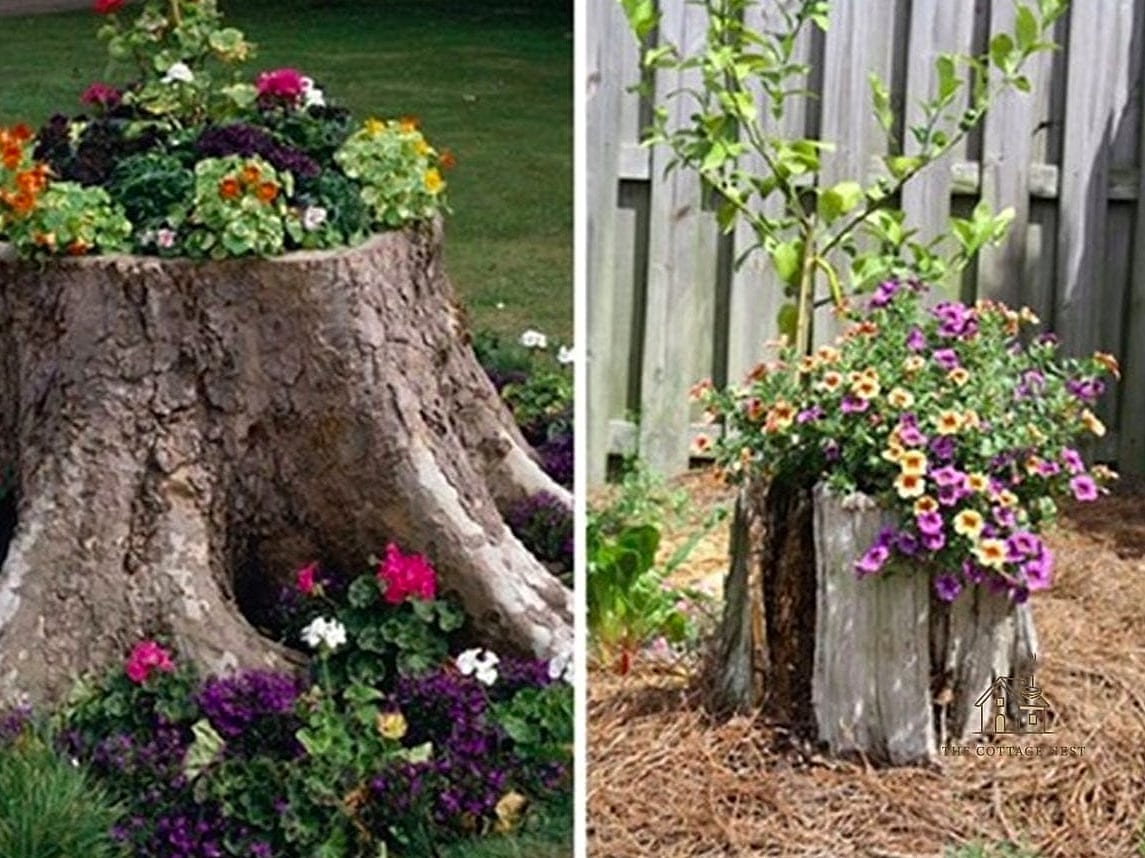 45 Creative Tree Stump Ideas Outdoor That Will Inspire You 6 Make It a Planter for Trailing Vines
