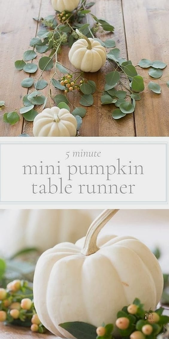 35 Beautiful Fall Table Centerpiece Ideas to Wow Your Guests 2 Mini Pumpkin Trio Down the Center