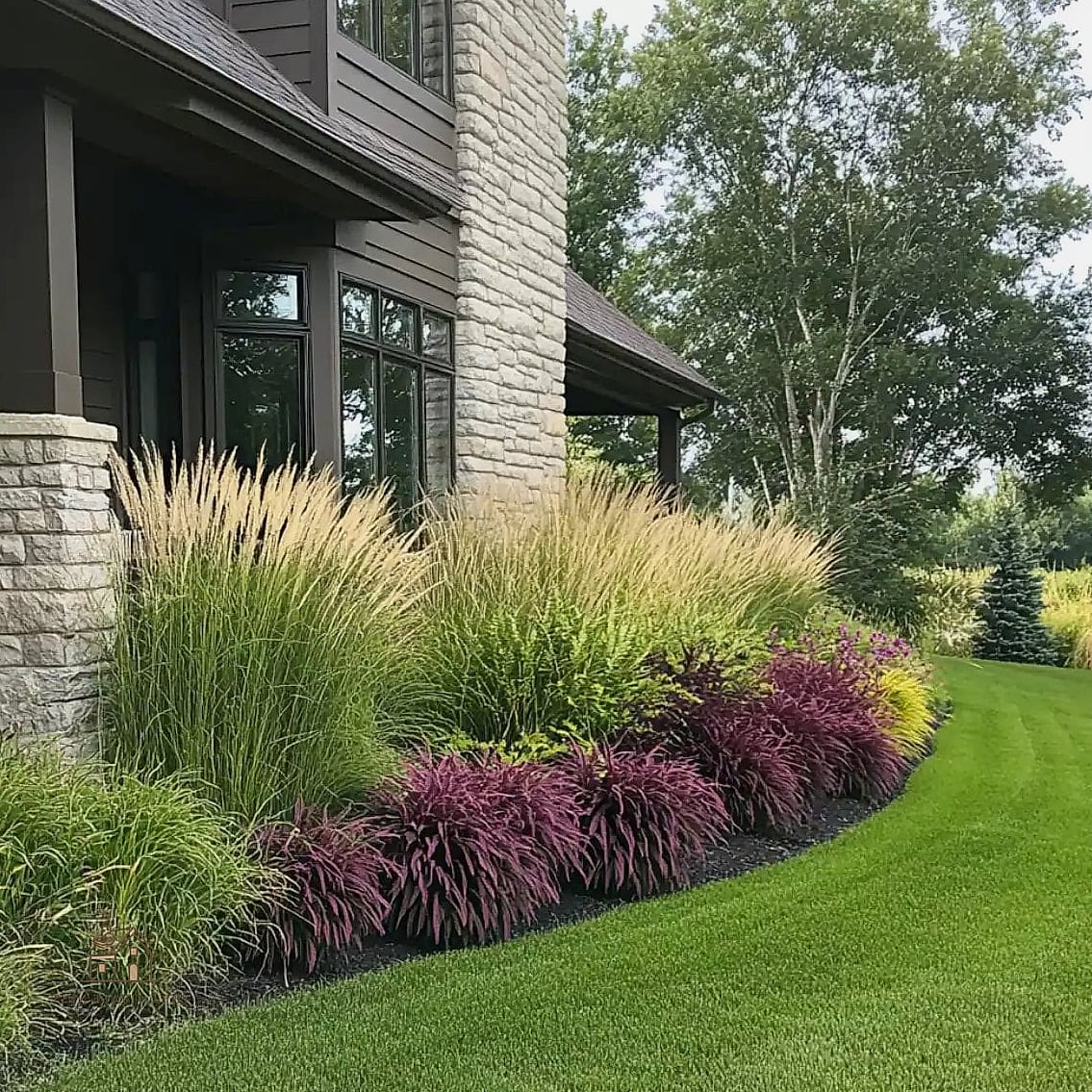 Ornamental Grasses for Movement