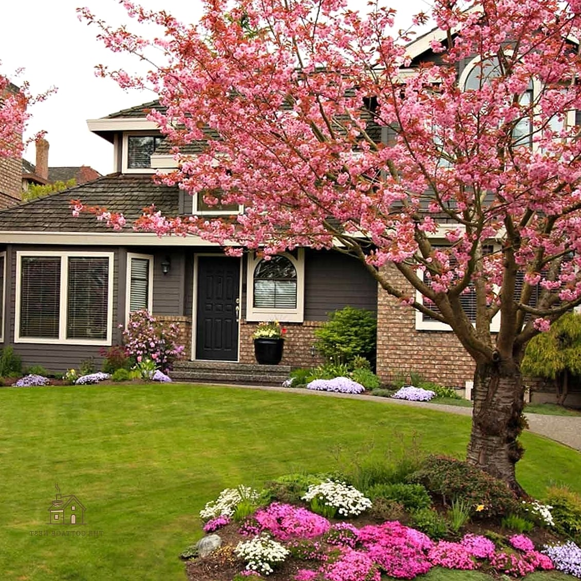 30 Amazing Front Yard Landscaping Ideas on a Budget 28 Ornamental Trees as Focal Points
