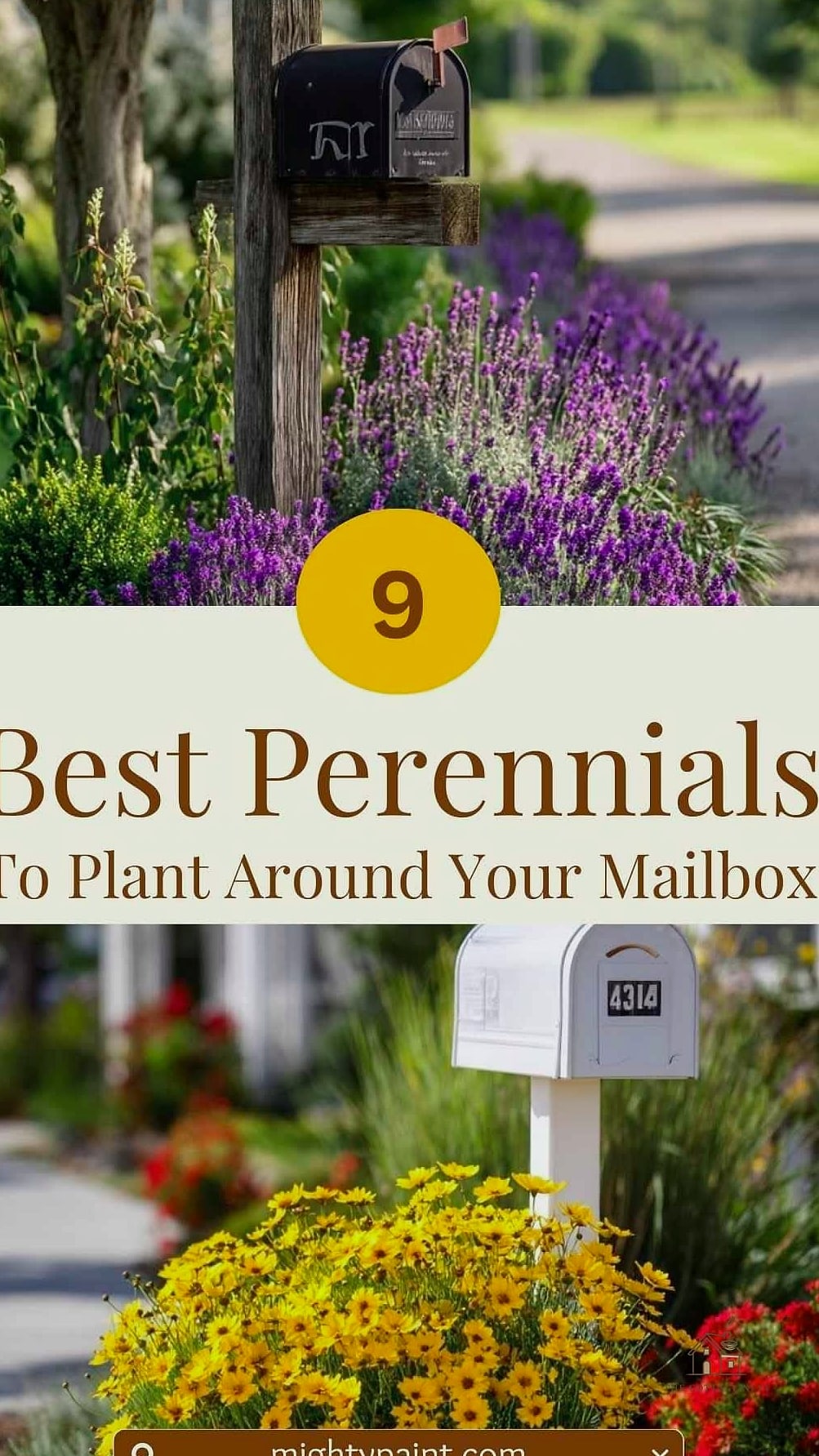 Perennial-Only Bed for Year-Round Return