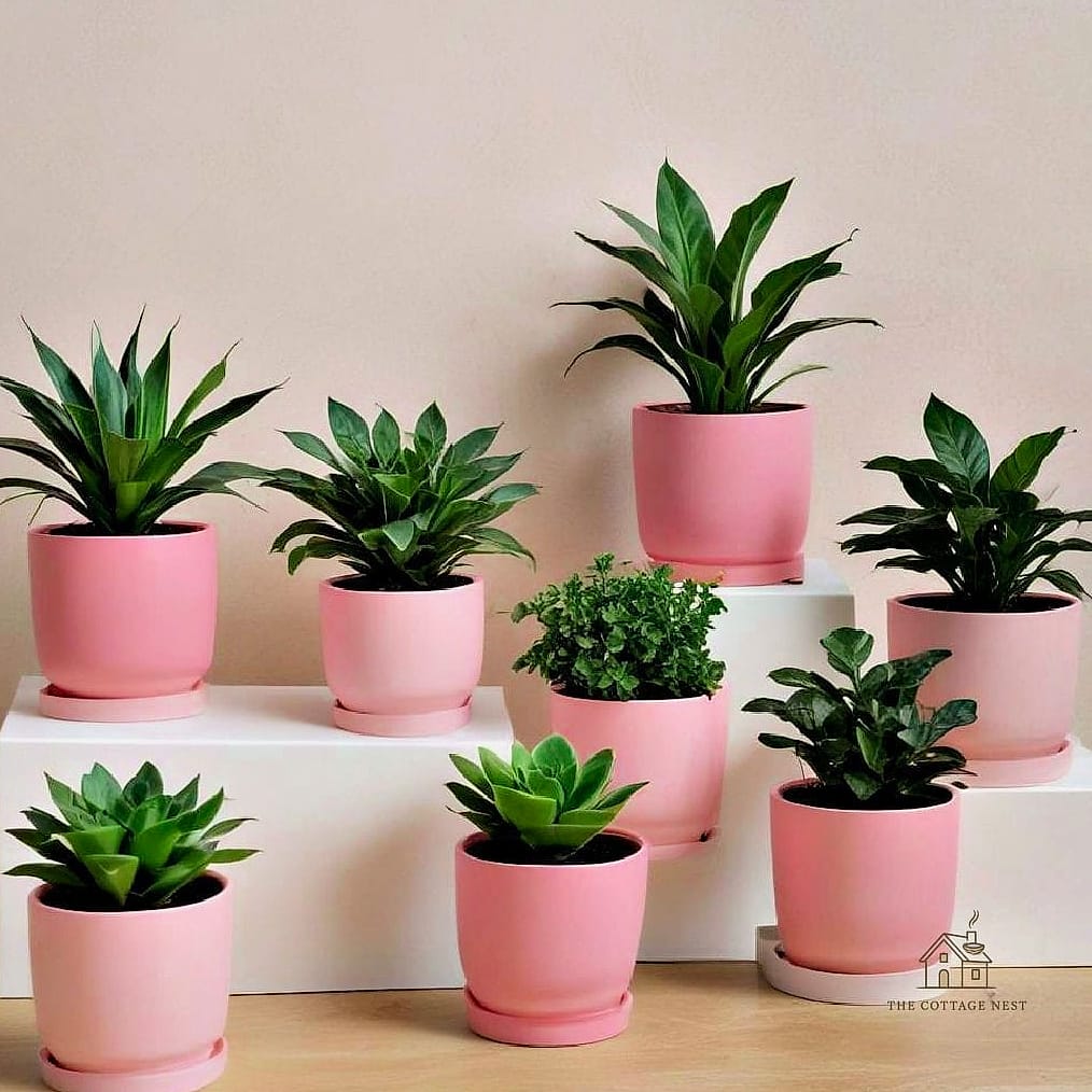 45 Brilliant Pink Dorm Room Ideas to Copy Right Now 27 Pink Ceramic Planters for Greenery