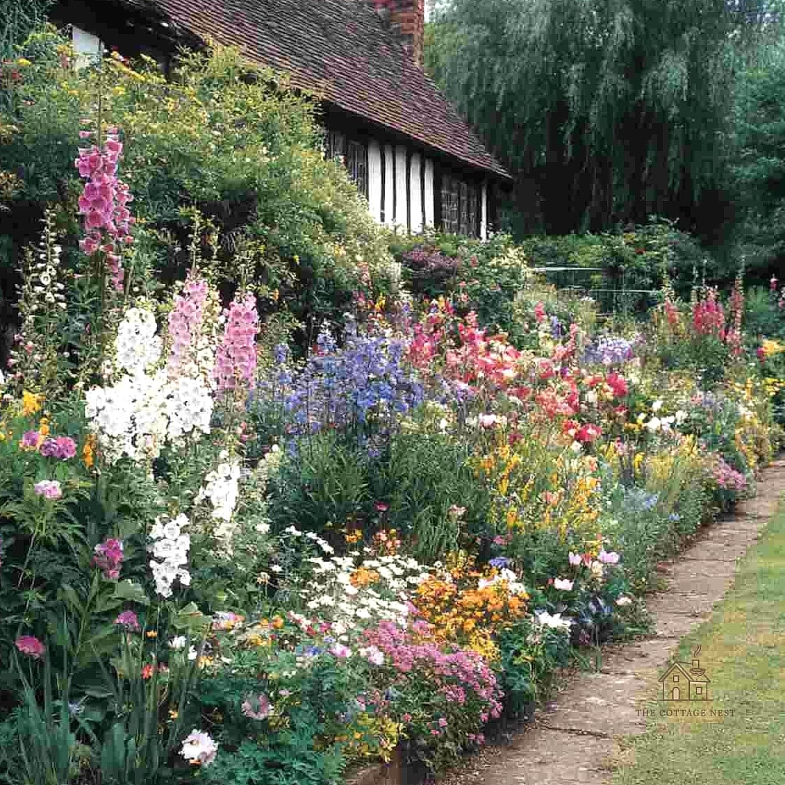 35 Brilliant Cottage Garden Ideas to Copy Right Now 35 Plant a Border of Catmint