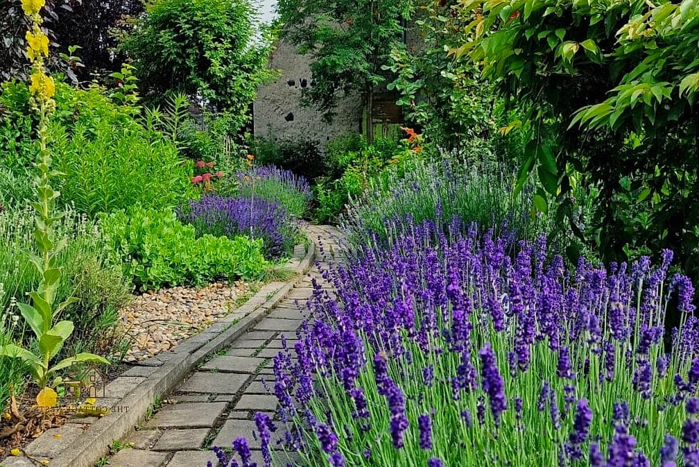 30 Dreamy English Garden Ideas to Try This Season 11 Plant Lavender Along Your Walkways