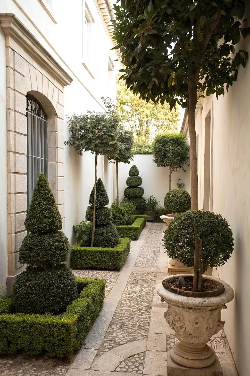 Potted Topiary in Budget Containers