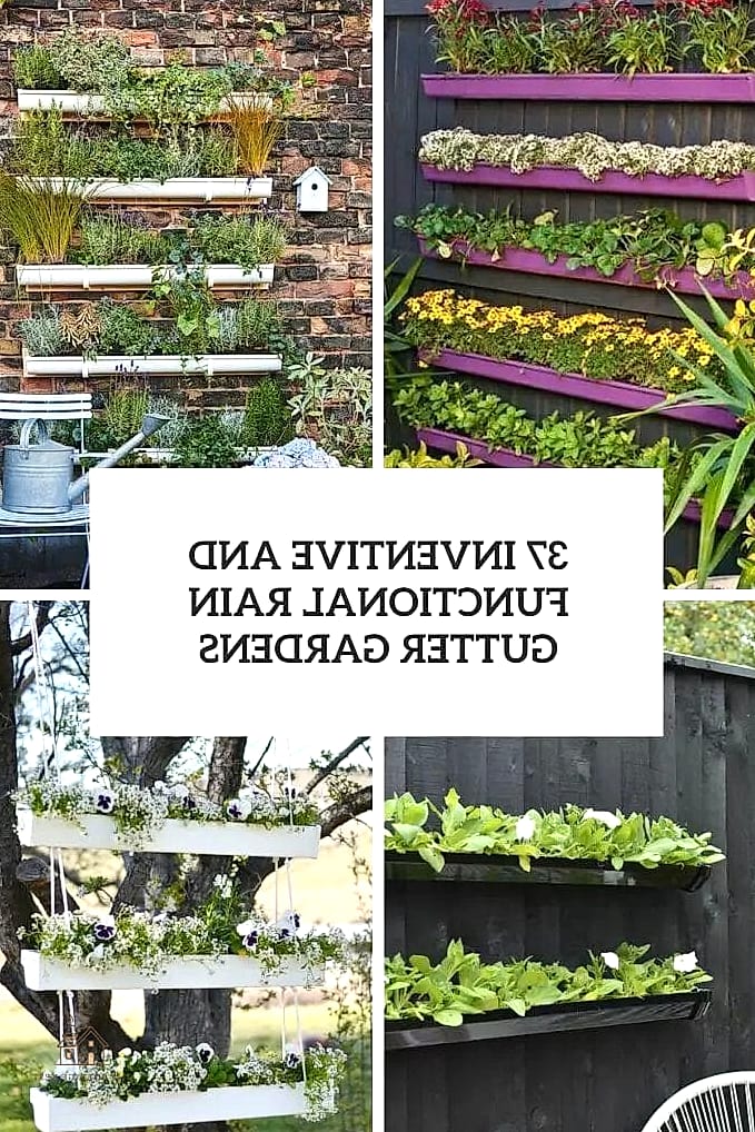 50 Clever Junk Garden Ideas Repurposed for Every Style 20 Rain Gutter Herb Planters