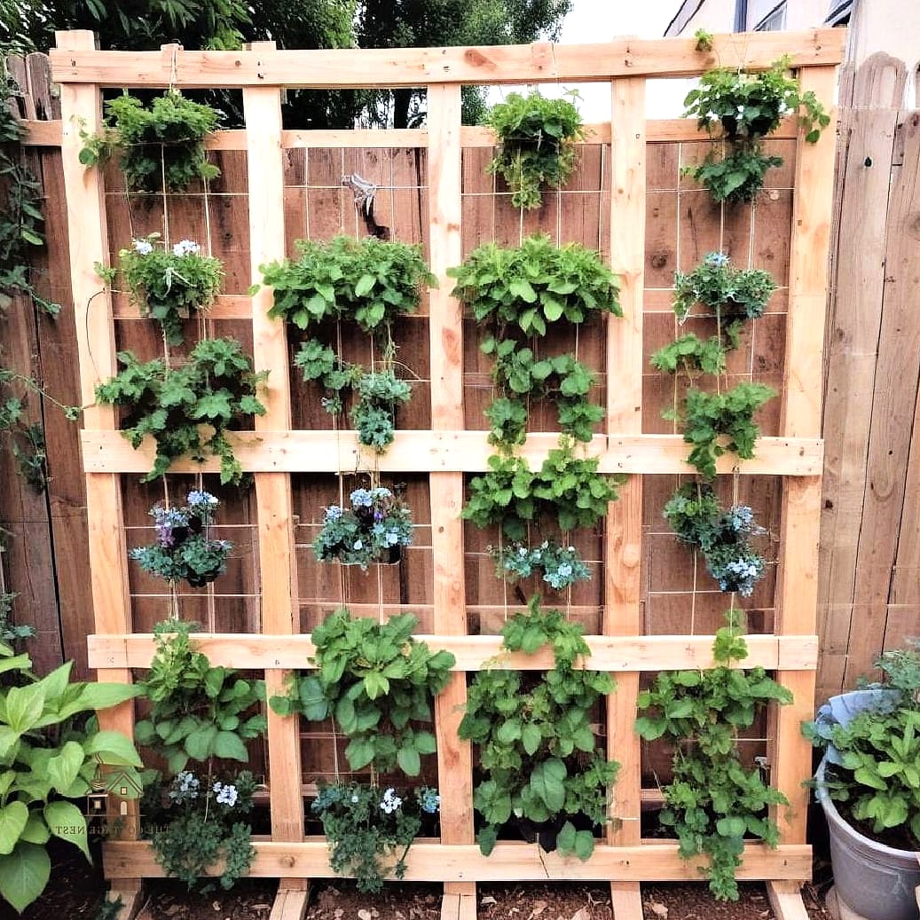 Recycled Pallet Trellis
