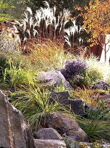 Rock Garden with Ornamental Grasses