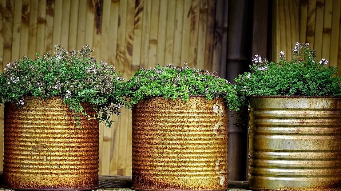 15 Brilliant Fall Outdoor Planter Ideas to Copy Right Now 12 Rusty Tin Watering Cans Repurposed as Planters