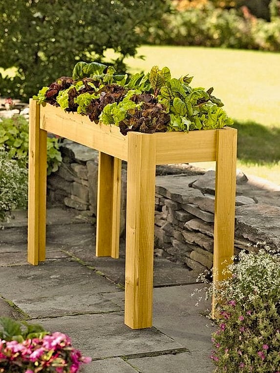 50 Clever Vegetable Garden Ideas for Every Style 8 Salad Table