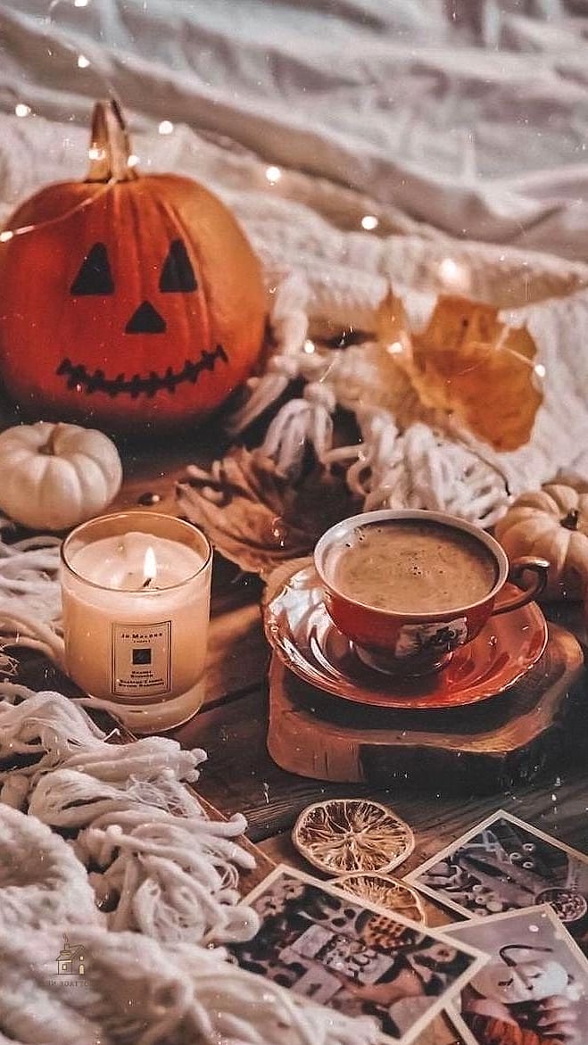 Seasonal Candle Scents in Simple Vessels