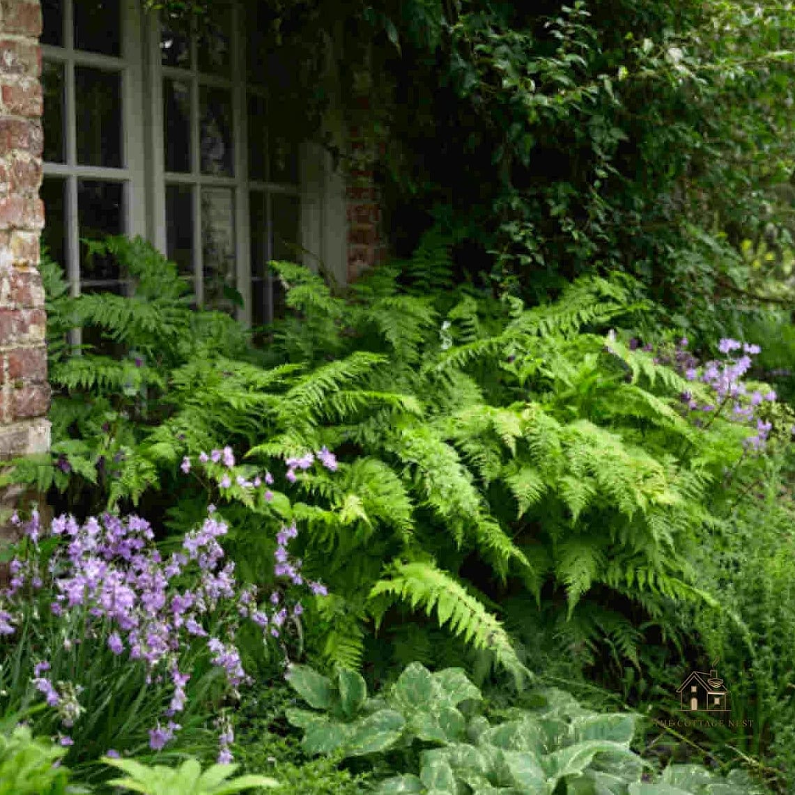 45 Stunning Corner Flower Bed Ideas You'll Absolutely Love 15 Shade-Loving Corner Bed
