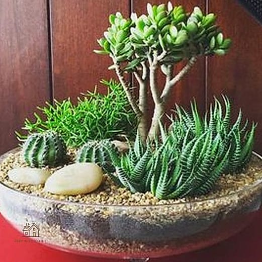 45 Chic Herb Garden Ideas for a Beautiful Home 30 Succulent-Style Herb Garden Bowl