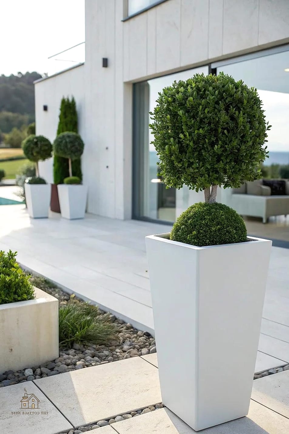 Tall Square Planters with Boxwood Spirals