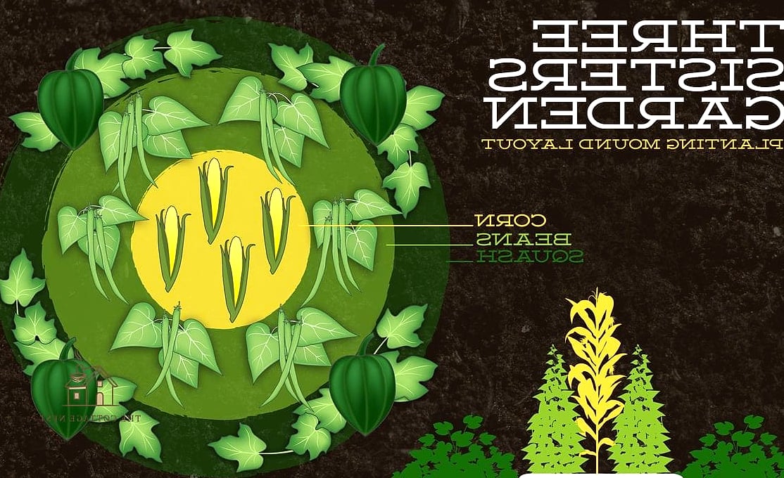 50 Clever Vegetable Garden Ideas for Every Style 10 Three Sisters Planting