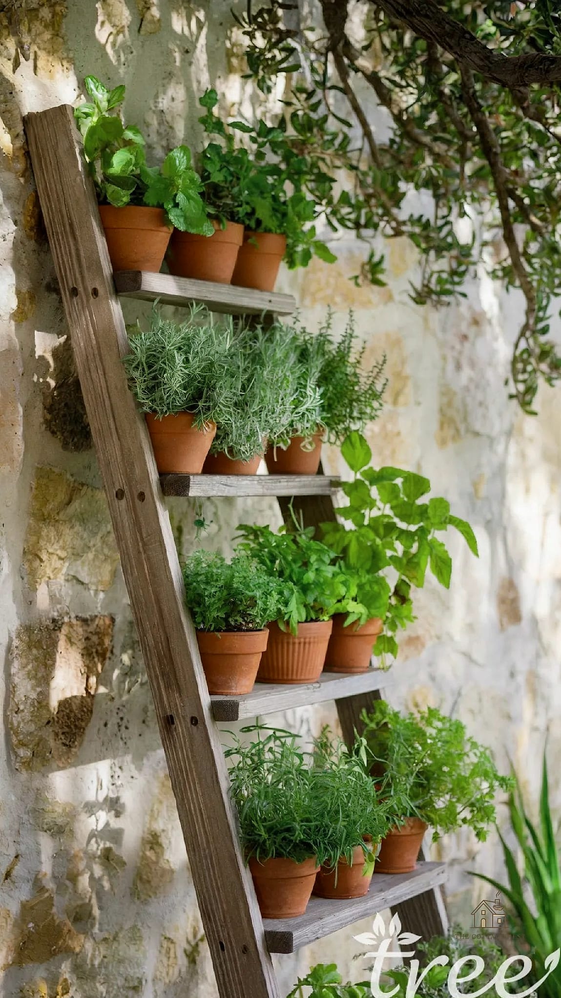 45 Chic Herb Garden Ideas for a Beautiful Home 11 Tiered Ladder Plant Stand