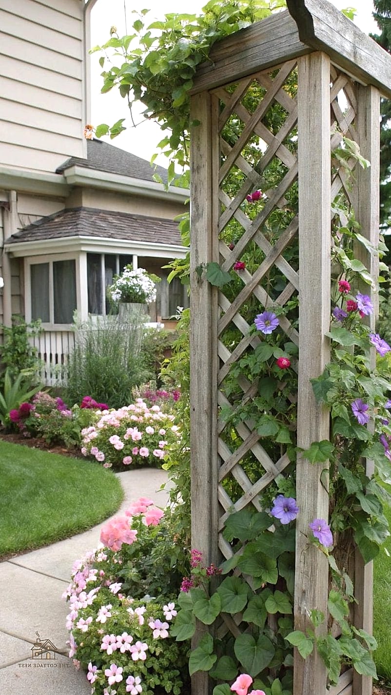 45 Gorgeous Front Yard Garden Ideas That Are Totally Doable 38 Trellised Vines Along the Porch