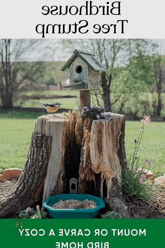 45 Creative Tree Stump Ideas Outdoor That Will Inspire You 5 Turn It Into a Bird Bath Base