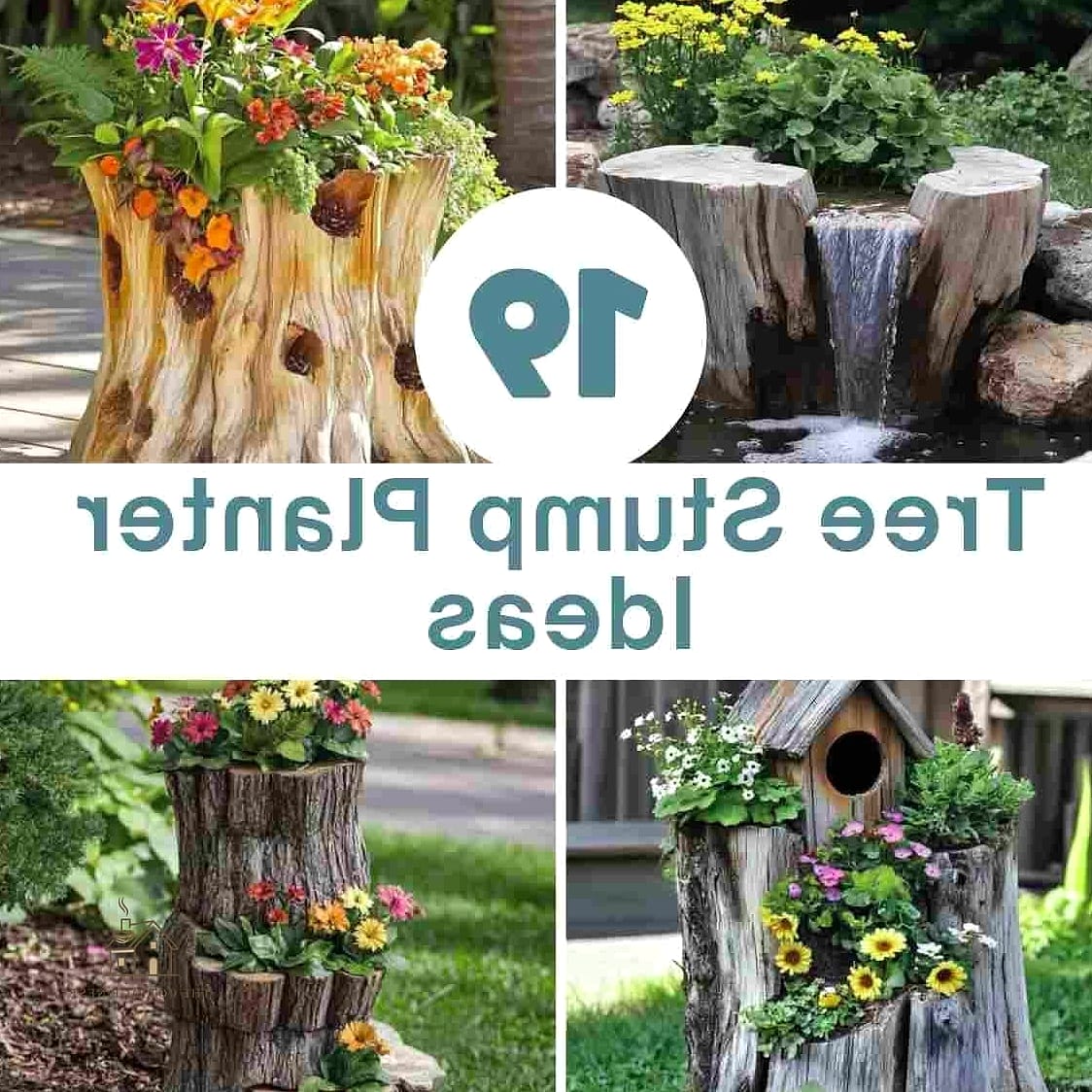 45 Creative Tree Stump Ideas Outdoor That Will Inspire You 13 Turn It Into a Planter Box with a Frame
