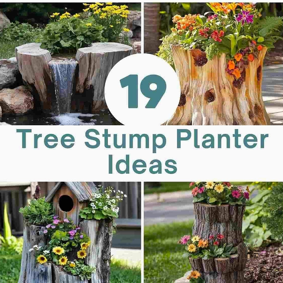 45 Creative Tree Stump Ideas Outdoor That Will Inspire You 24 Turn It Into a Planter for Succulents