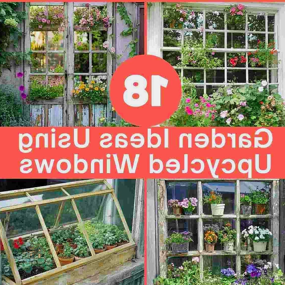 Upcycled Window Frame Cold Frame