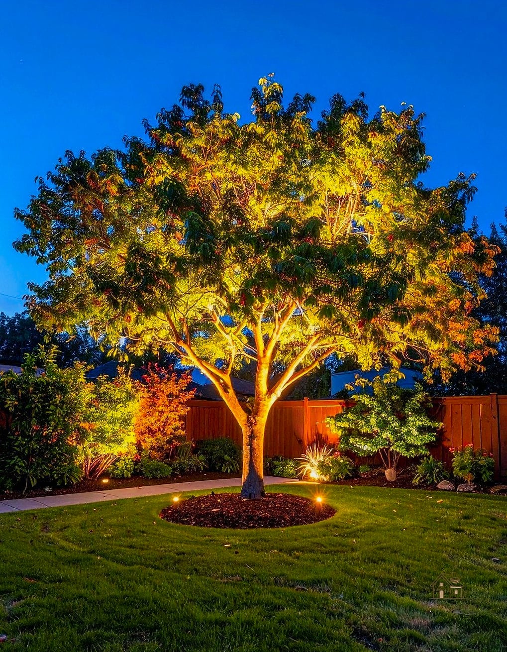 Uplighting for Trees and Shrubs