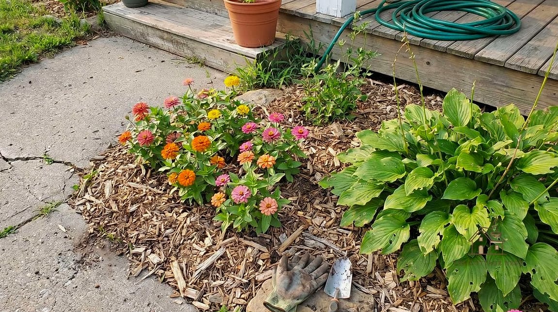 40 Amazing Zinnias Garden Ideas on a Budget 40 Use Broken Concrete Pavers as a Border