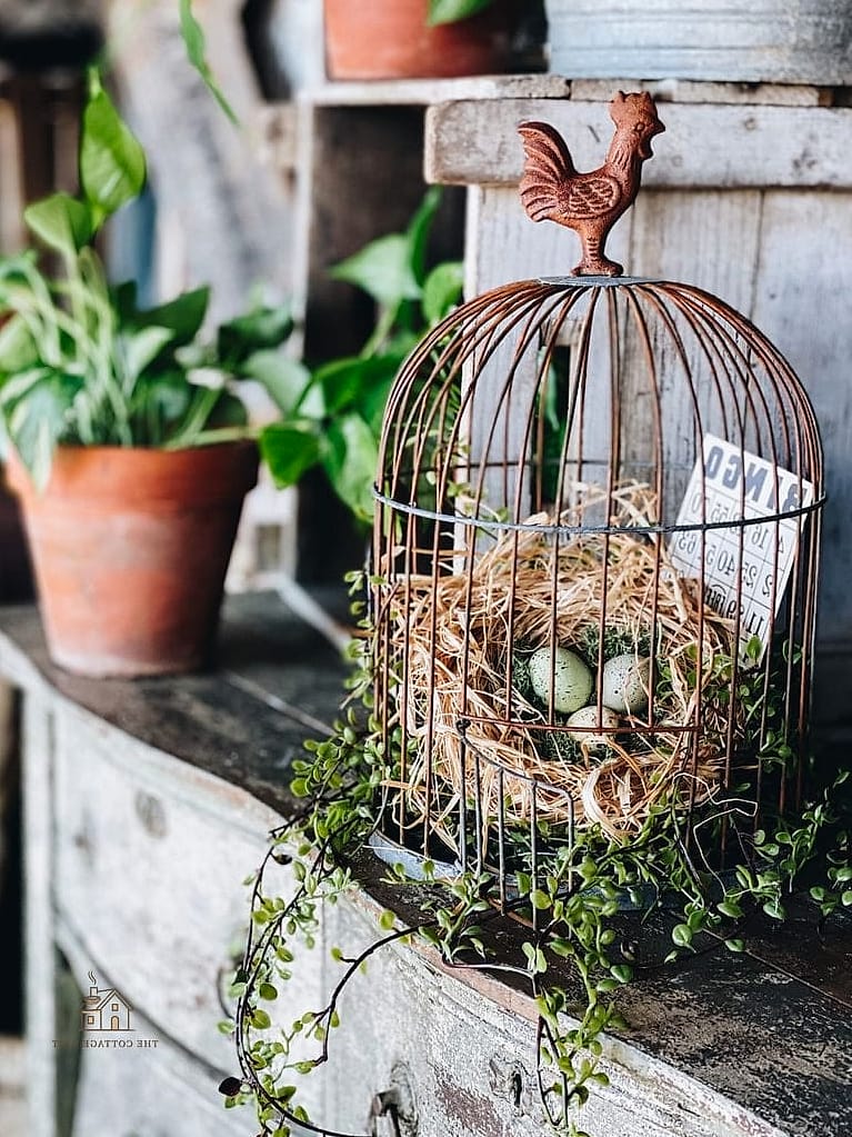 20 Clever Vintage Bird Cage Decor Ideas for Every Style 10 Use It to Display Seasonal Decor