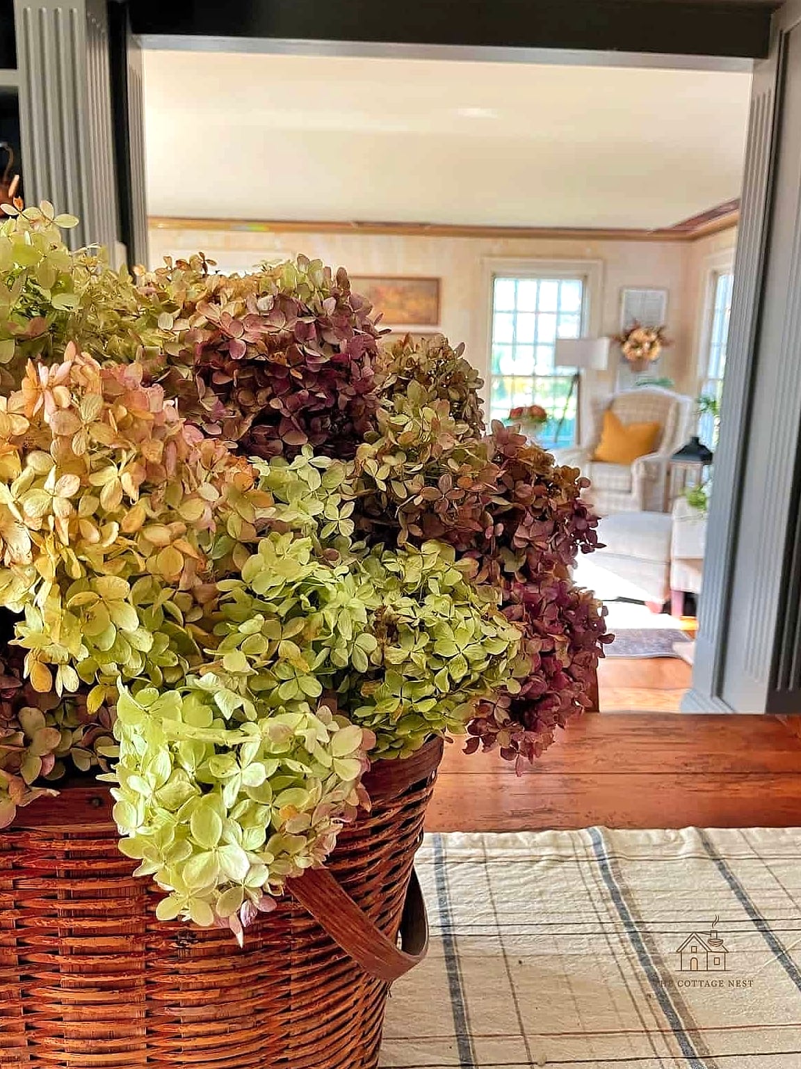 Use Dried Hydrangea Blooms for Fall and Winter Interest