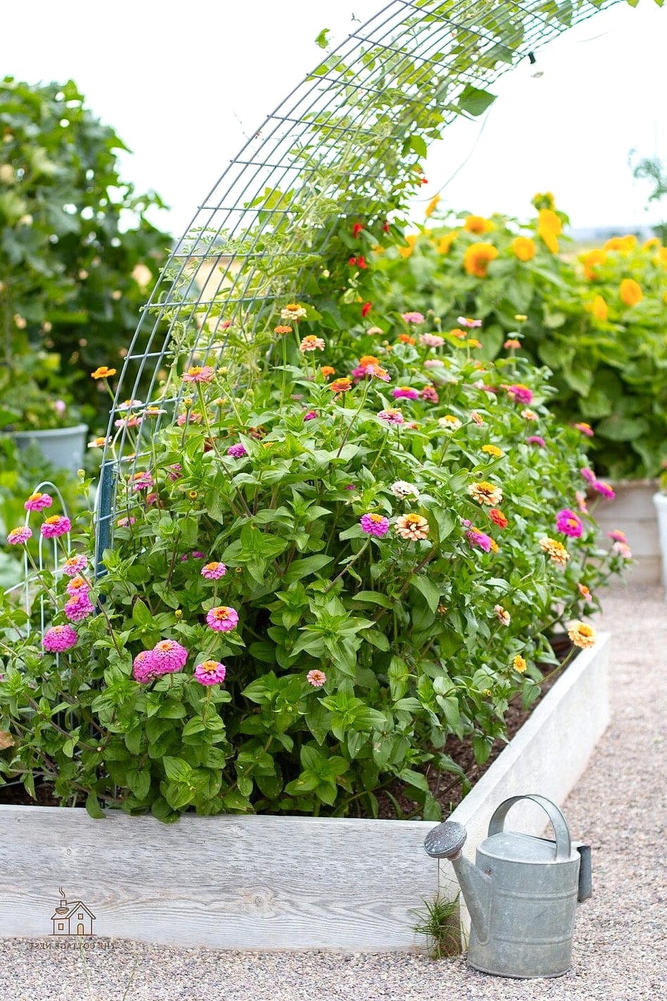 40 Amazing Zinnias Garden Ideas on a Budget 32 Use a Ladder as a Plant Display Stand