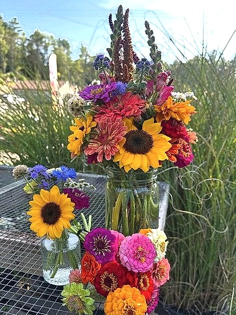 40 Amazing Zinnias Garden Ideas on a Budget 16 Use Mason Jars for a Farmhouse Table Centerpiece