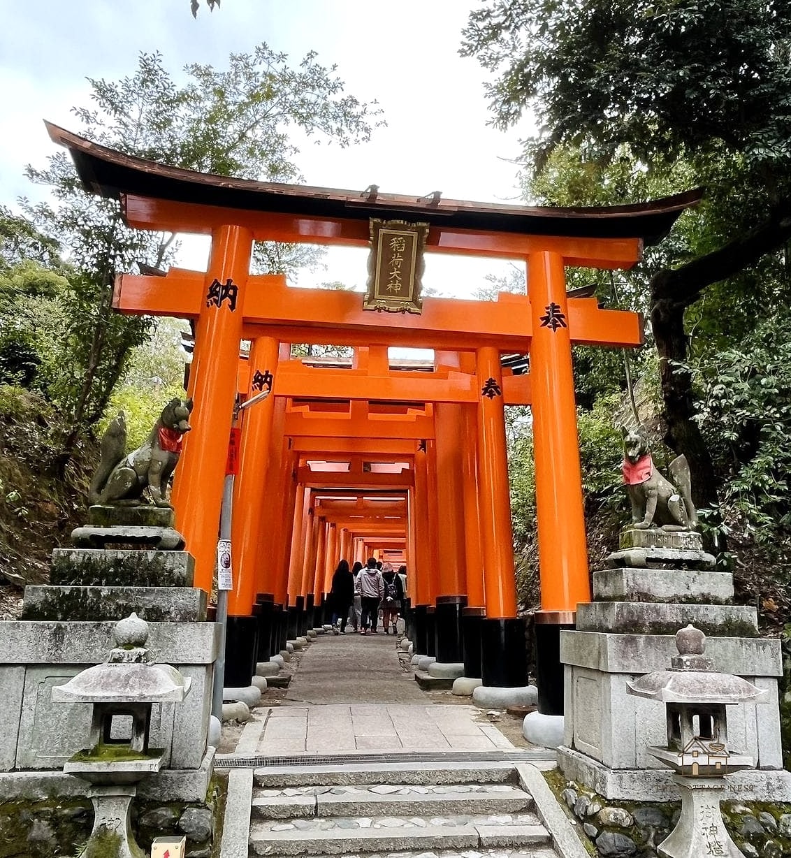 Use a Torii Gate as a Focal Point