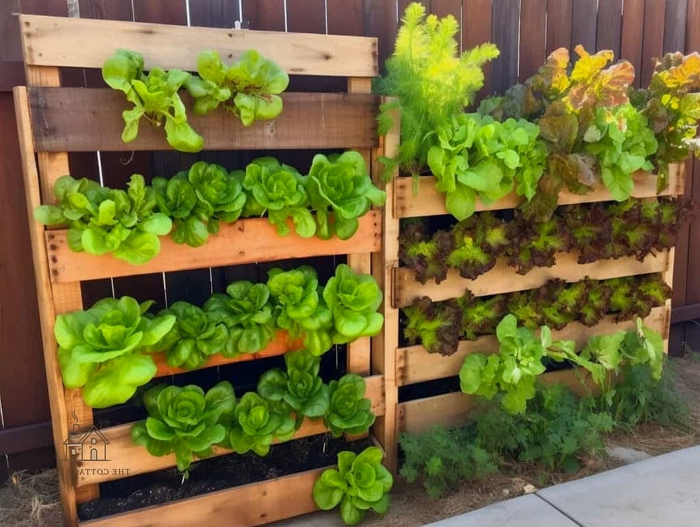 50 Clever Vegetable Garden Ideas for Every Style 3 Vertical Pallet Garden