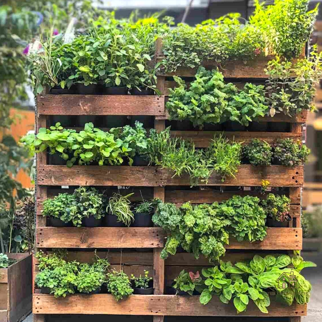 45 Chic Herb Garden Ideas for a Beautiful Home 3 Vertical Pallet Herb Wall