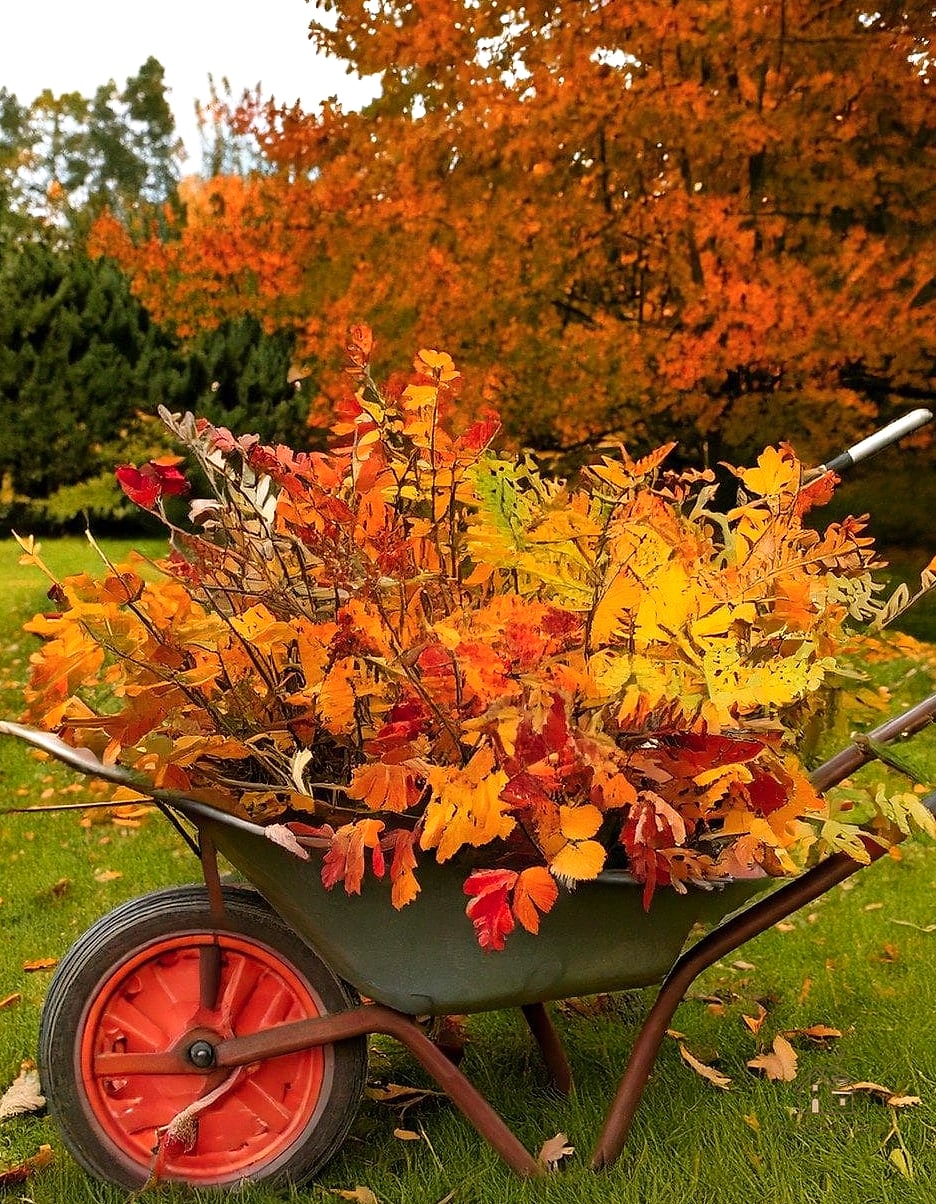 15 Brilliant Fall Outdoor Planter Ideas to Copy Right Now 4 Wheelbarrow Planter Overflowing with Pumpkins and Vines