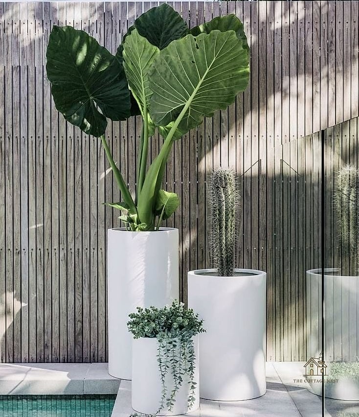Whitewashed Wood Planter Boxes