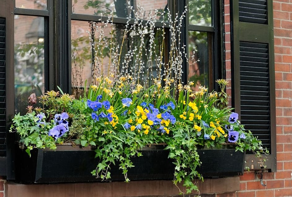 15 Stunning Garden Ideas For Small Spaces You'll Absolutely Love 6 Window Box Garden