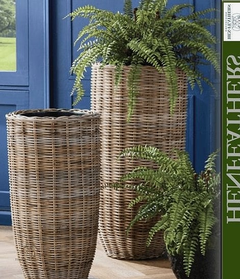 Woven Rattan Planters with Trailing Vines