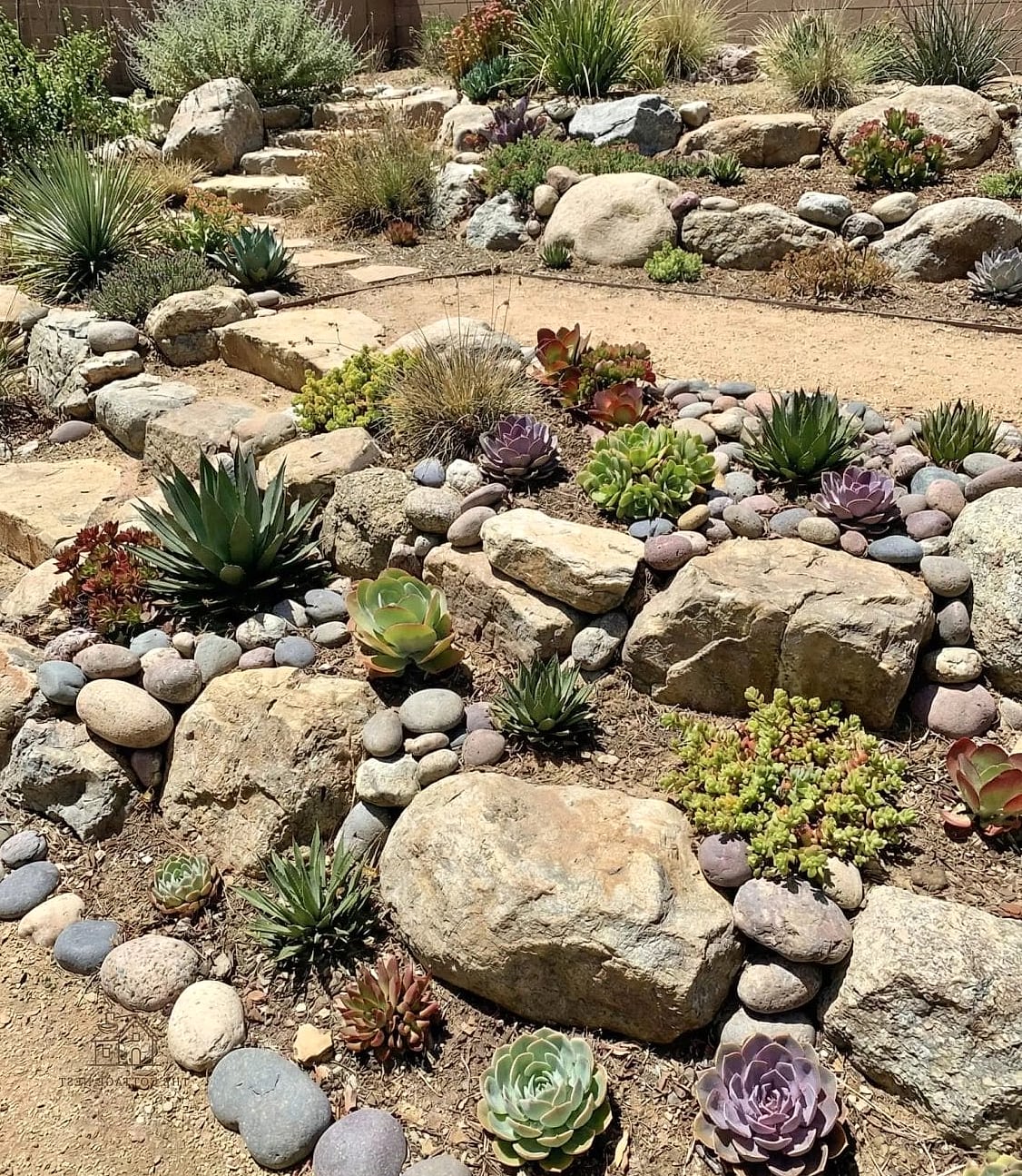 Xeriscape Rock Garden